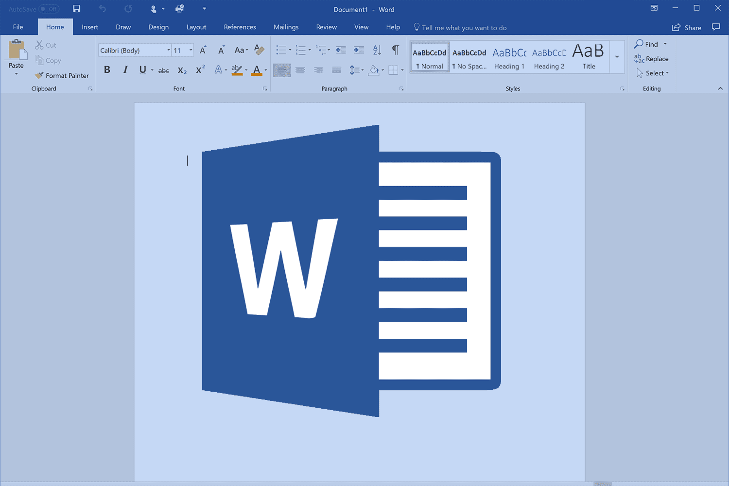 MS Word