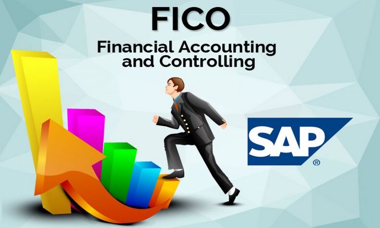 SAP (FICO)